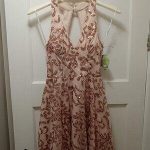 Champagne Pink Sequined Formal Dress NWT